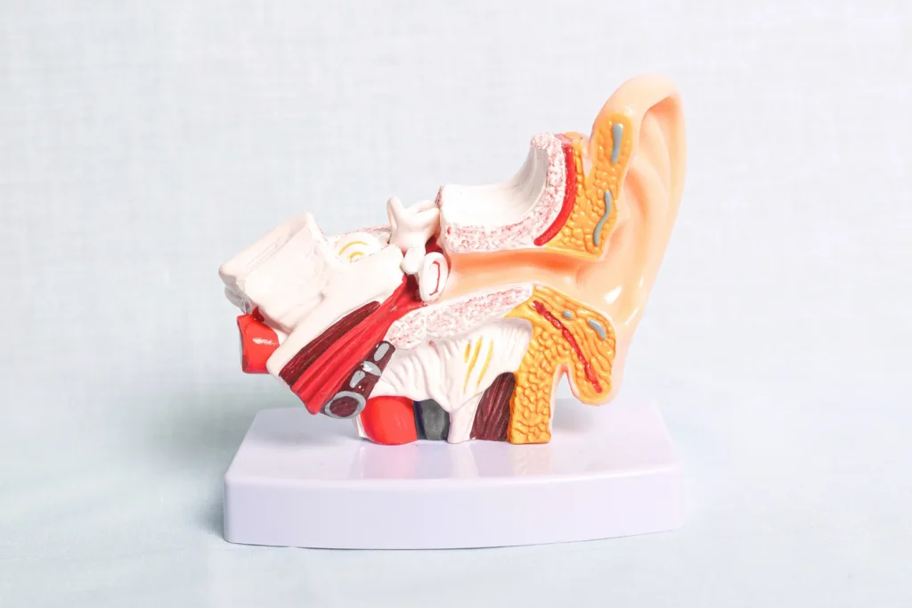 What Causes Dizziness and Vertigo